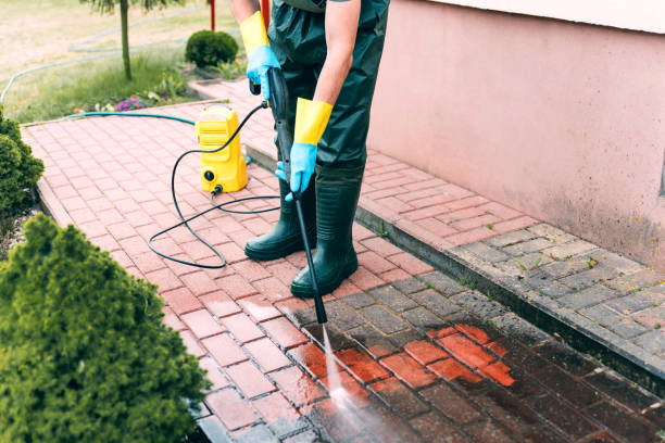 Animal Enclosure Cleaning in Saddle Rock, NY